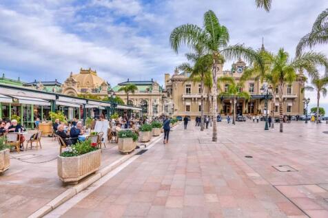 palm beach sky sea tropical blue tree spain travel