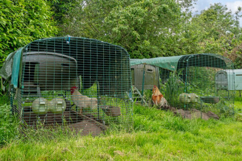 Property Image 38