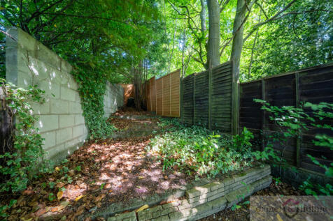 31 Campbell Avenue-62