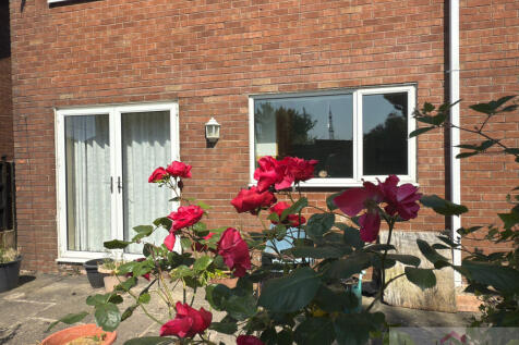 REar garden 2