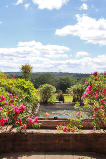 Pond View
