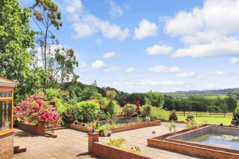 Terrace View 2