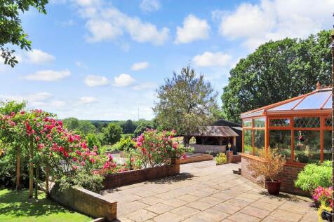 Terrace View