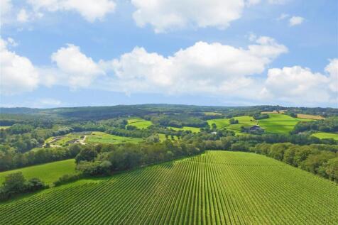 Vines