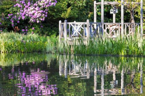 Pond View