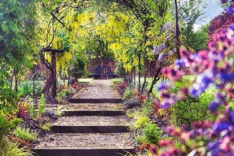 Rear View Of Garden