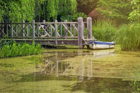 Pond View