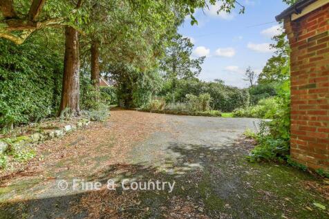 Driveway/Parking