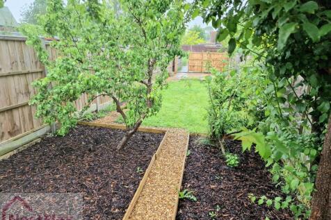 Garden 1
