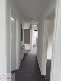 image4.jpeg
