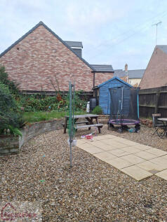 2 bull bk garden.jpeg
