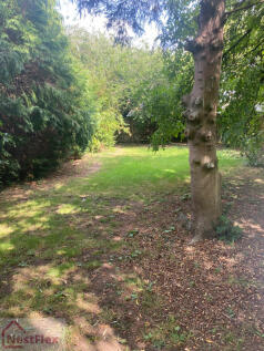 GARDEN1.jpeg
