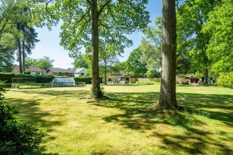 Large Private Plot of 1 Acre