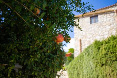 Property Image 44