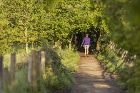 Get outdoors and enjoy woodland walks nearby
