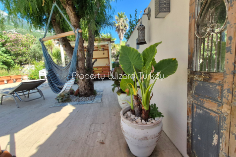 Property Image 54
