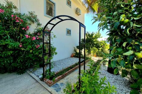 Property Image 64