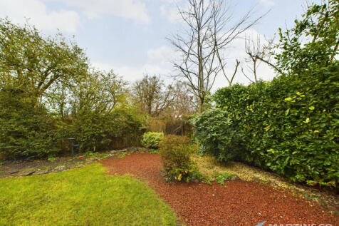 Rear Gardens 