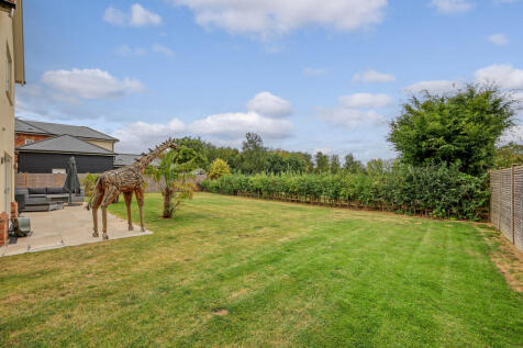 Property Image 43
