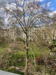 view from window