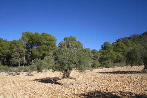Property Image 6