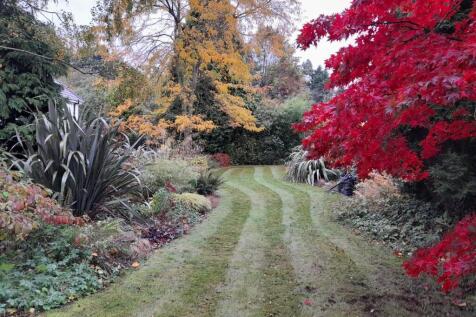Garden.jpg