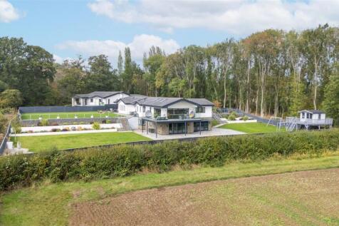Grounds