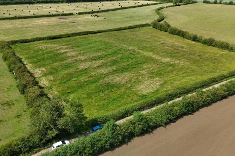 DJI_20250220194021_0794_D.JPG
