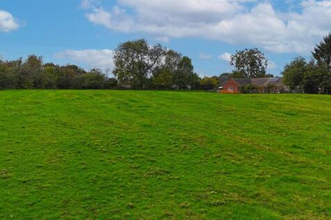 DJI_20250201172300_0283_D.jpg