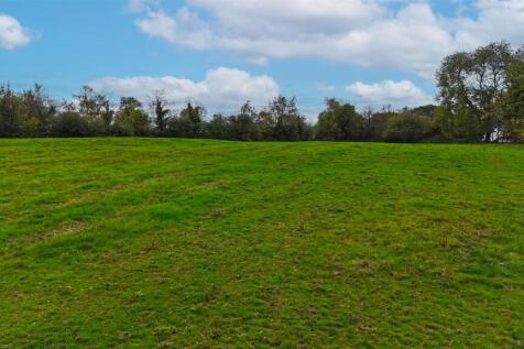 DJI_20250201172324_0284_D.jpg