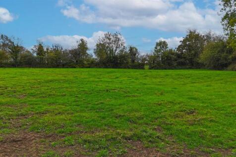 DJI_20250201172437_0287_D.jpg
