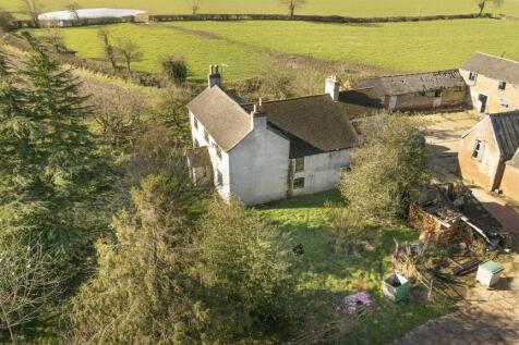 DJI_20240305104340_0201_D.jpg