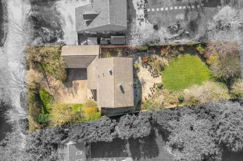 DJI_20250320124425_0149_D.jpg