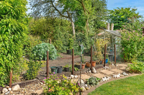 Greenhouse and veg plot