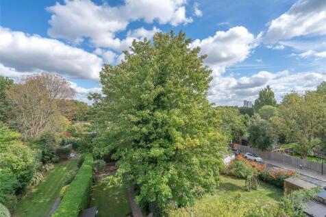 Terrace Views