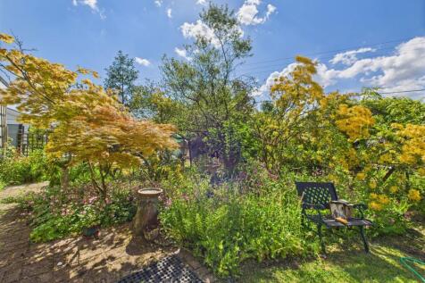 Back Garden