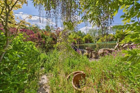 Back Garden