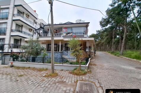 Property Image 39