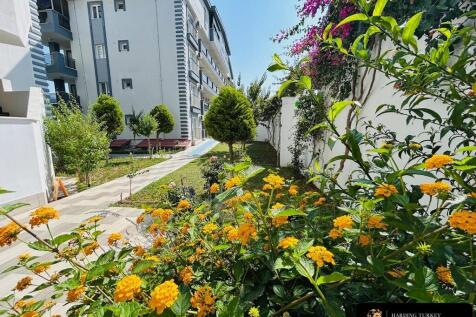 Property Image 39