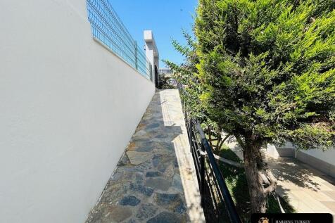 Property Image 50