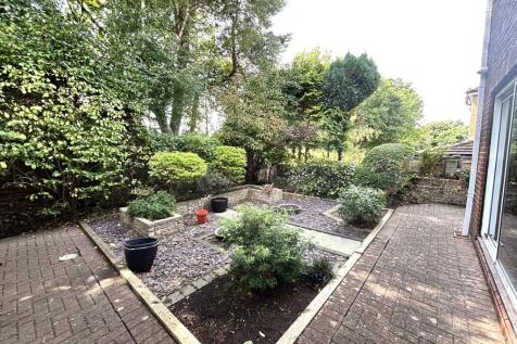 Back Garden