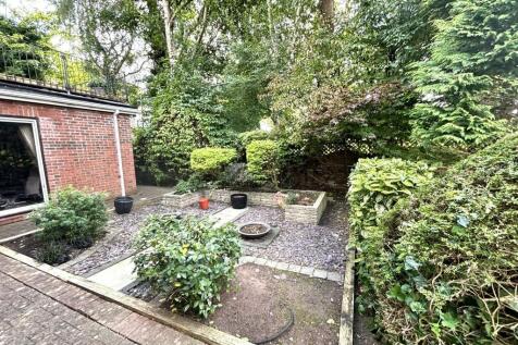 Back Garden