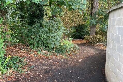 Woodland walk