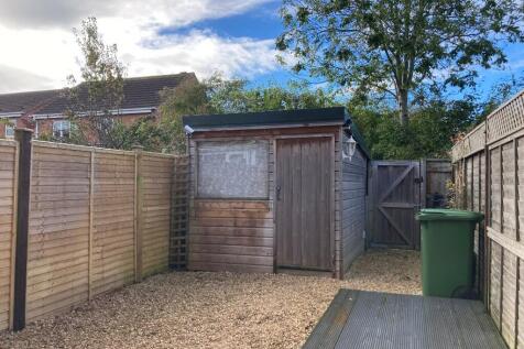 Back garden