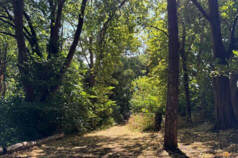 Wooded walk at rear