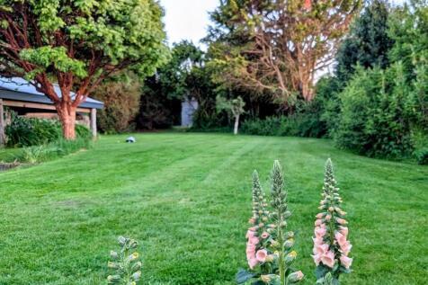 Property Image 39