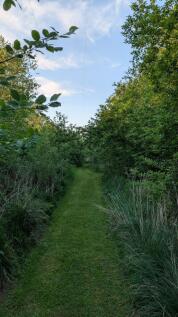 Property Image 58