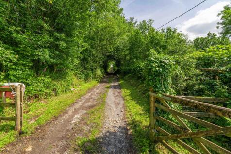 Property Image 54