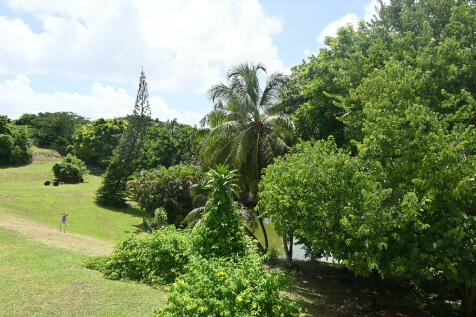 Backyard (Pond)