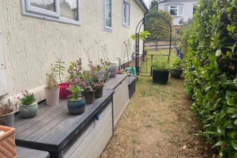 Garden 5
